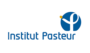 L’effet pass sanitaire rend les modélisations de l’Institut Pasteur moins sombres