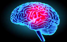 Cerveau : avoir un bon auditeur évite le déclin cognitif