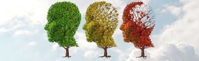 Un nouvel espoir, timide, pour traiter la maladie d’Alzheimer