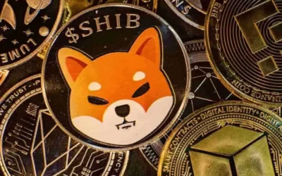 Shiba Inu : ses 3 400 dollars de SHIB représente plus d’un milliard de dollars !