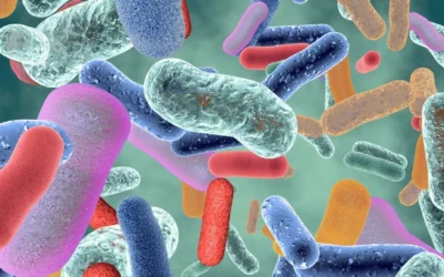 Microbiote : un additif alimentaire perturberait le système digestif