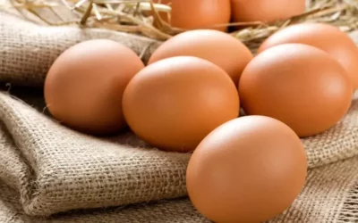 Comment savoir si un œuf est bon ?