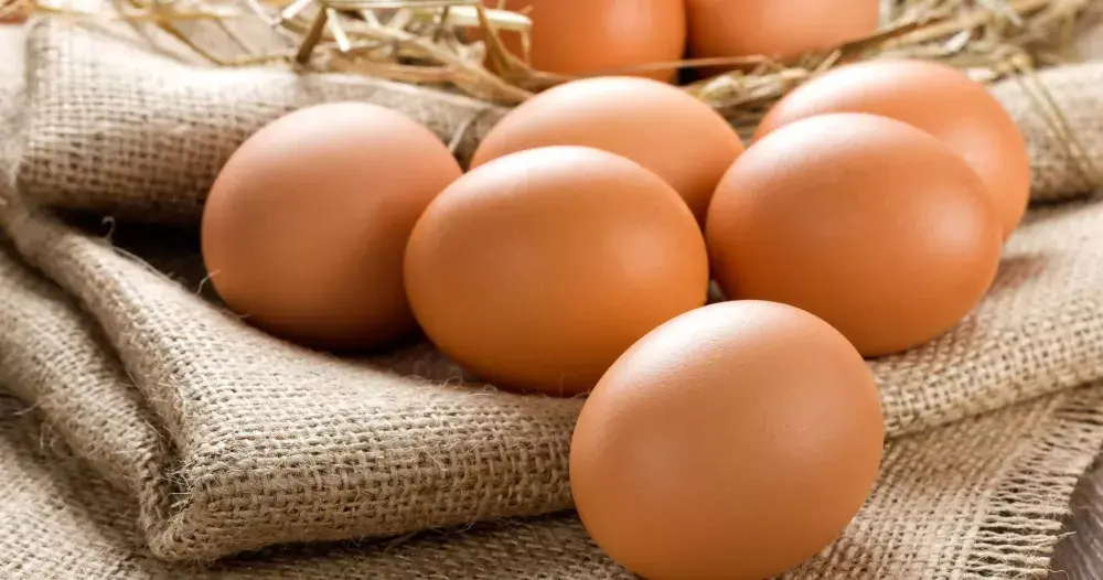 Comment savoir si un œuf est bon ?