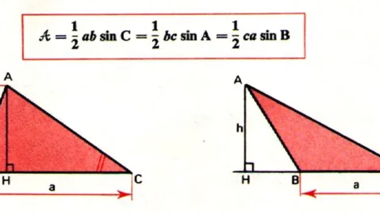 Surface Du Triangle Isocèle Comment avoir l'aire des triangles ? | Guide entreprise