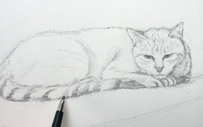 Comment dessiner un chat ?