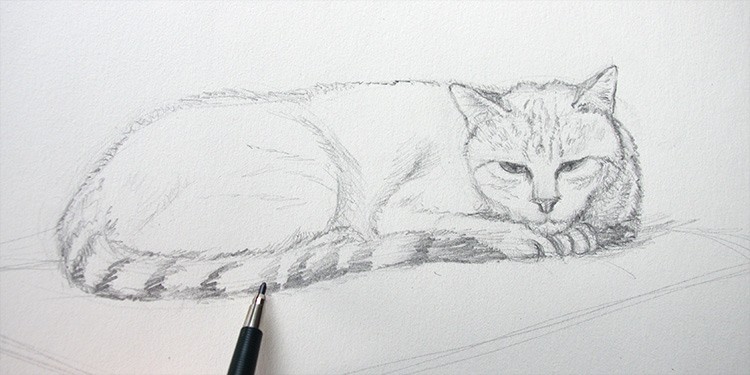 Comment dessiner un chat ?