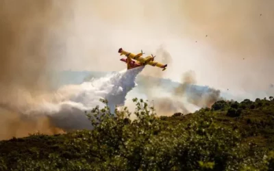 Incendies dans l’Hérault : des milliers d’hectares partis en fumée