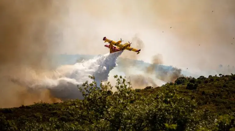 Incendies dans l'Hérault : des milliers de végétation parties en fumée