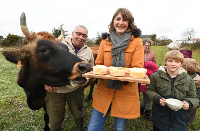Société : à Creuse, ils achètent une vache en commun