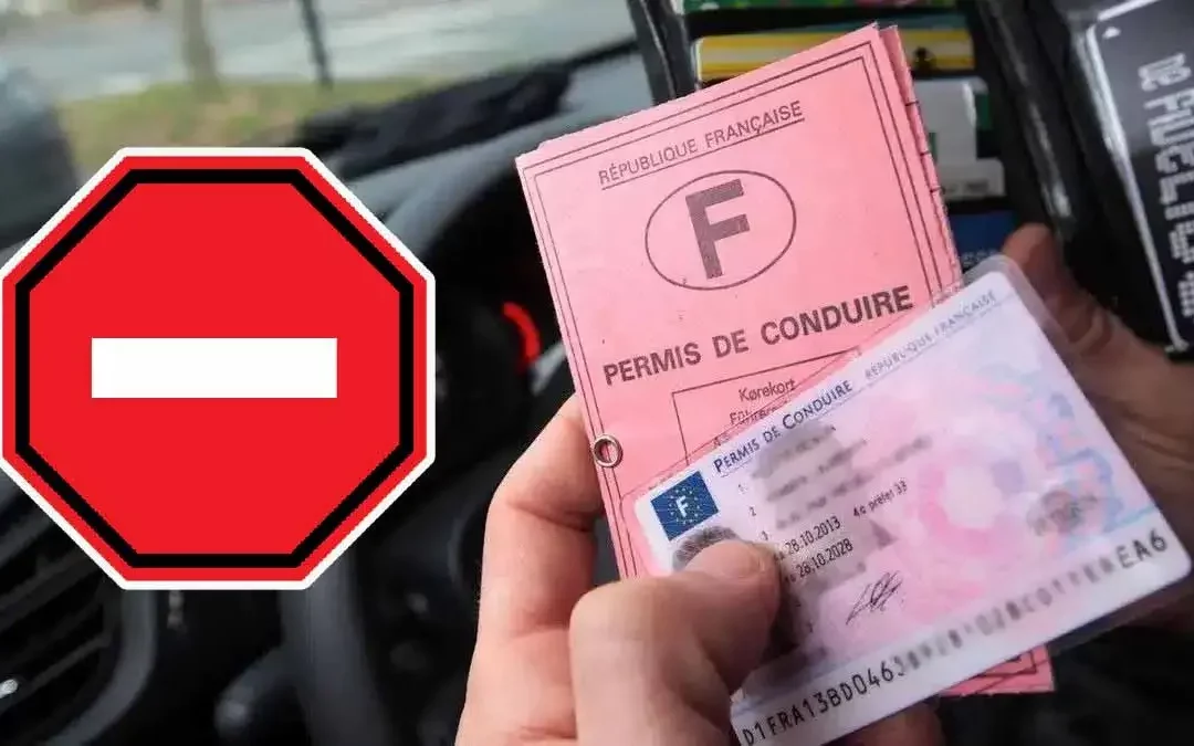 Adieu au permis de conduire rose : le nouveau format carte bleue en service