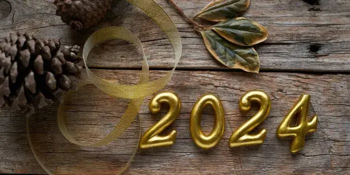 Comment faire pour réussir à tenir ses résolutions 2024 ?