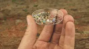 Cerveaux pleins de microplastiques