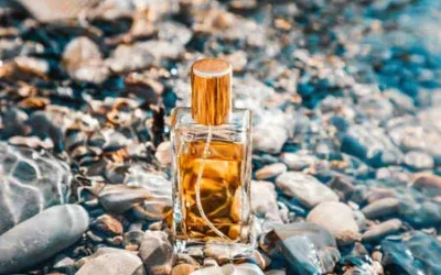Comment bien choisir son parfum d’été