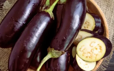 L’aubergine : la star colorée et bienfaisante de l’été