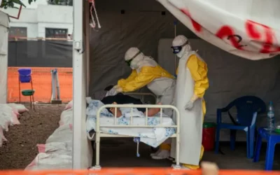 Épidémie Ebola en Afrique centrale : près de 500 cas confirmés selon l’OMS
